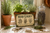 Herb Garden Sign, Botanical Wall Decor, 8x12 Metal