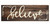 Believe Rustic Wood Wall Sign