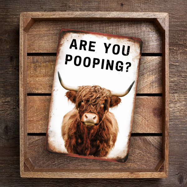 Funny Vintage "Are You Pooping?" Cow Sign – Rustic Bathroom Decor – 8"x 12" Metal Wall Art With Shaggy Cow Photo
