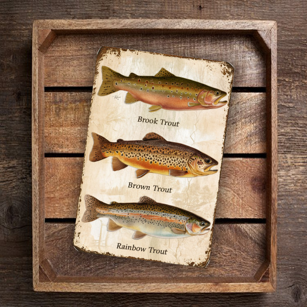 Rustic Trout Species Sign – Brook, Brown, And Rainbow Trout Illustrations – 8"x 12" Metal Wall Art For Cabin Or Fishing Enthusiast