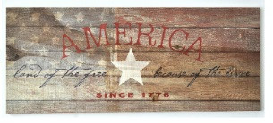 America Land Of The Free Because Of The Brave Rustic Wood Sign 9x22 