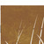  Garden Gate 33.5x59.1" Corten Steel Grass Design A949-153223