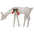 Christmas Reindeer Family 106.3"x2.8"x35.4" Gold Warm White Mesh A949-328503