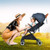 Airplane-Friendly Baby Stroller for Easy and LightweightTravel - Color: Blue D681-AirplaneBB5624NY