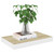 Floating Wall Shelves 4 pcs Oak and White 15.7"x9.1"x1.5" MDF A949-326572