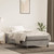 Box Spring Bed Frame Light Gray Twin XL Velvet (US Only) A949-3120799