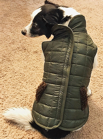 FASHION PET Giraffe Sweater M N274-KW01FP60299M