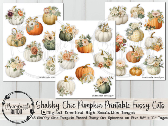 Shabby Chic Pumpkin Fussy Cut Ephemera Pages - 43 High Quality Printable Digital Download - Junk Journal Supplies, Autumn, Fall, Floral