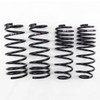 RS-R 07-14 Mazda 2 (DE5FS) Super Down Springs M609S