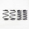 RS-R 09-14 Nissan Maxima Down Sus Springs N910D