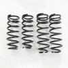 RS-R 01-06 Lexus LS430 (UCF30/31) Super Down Springs T284S