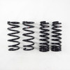 RS-R 16-20 Lexus GS350 RWD (GRL12) Down Sus Springs T172D