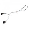 AWE Tuning 18-21 Audi B9 S5 Coupe Resonated For Performance Cat Track Edition Exhaust w/ Carbon Fiber Tips 3015-45010