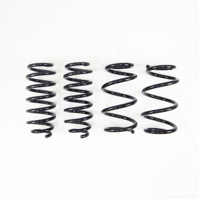 RS-R 17-22 Tesla Model 3 (RWD) Down Sus Springs TL001TD RS-R 17-22 Tesla Model 3 (RWD) Down Sus Springs TL001TD