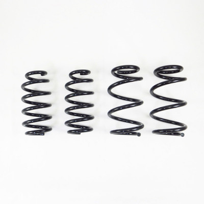 RS-R 19-22 Tesla Model 3 AWD Down Sus Springs TL002TD RS-R 19-22 Tesla Model 3 AWD Down Sus Springs TL002TD