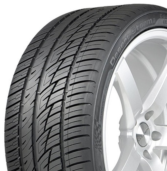 245/30R24 Delinte Desert Storm II DS8