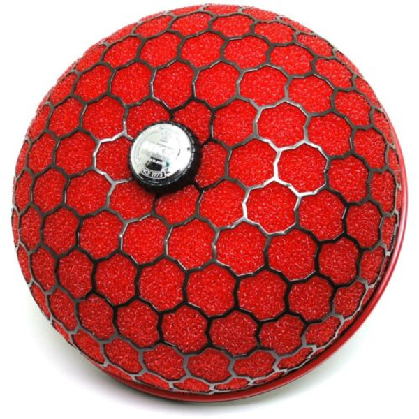 HKS SPF ASSY 150-80 Wet 2row (RED) 70019-AK109