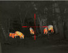 LIEMKE SPERBER-1 THERMAL IMAGING RIFLE SCOPE