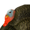 PRIMOS PHOTOFORM STRUTTER TURKEY
