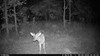 WISE EYE MINI CAM 2 GAME CAMERA