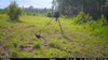 WISE EYE MINI CAM 2 GAME CAMERA