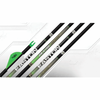EASTON AXIS 4MM ARROWS- 300, 6PK