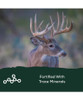 RECORD RACK BIG ANTLER MINERAL BAM BLOCK 30LB