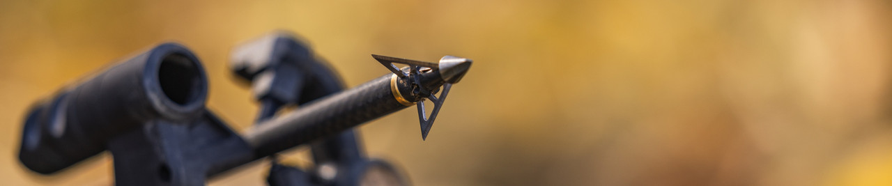 Broadheads and Points
