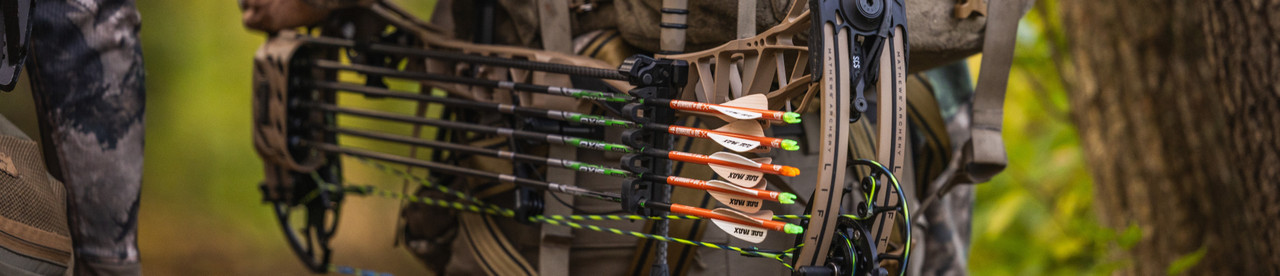 Quivers and Belts