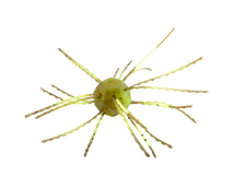 STRIKE KING TUMBLEWEED SALTED SOFT PLASTIC BAIT