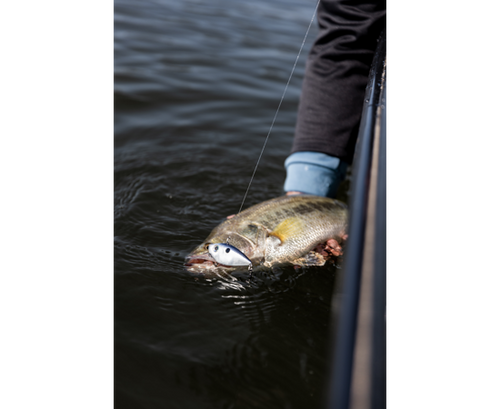 STRIKE KING RED EYED SHAD 3/4 OZ CRANKBAIT