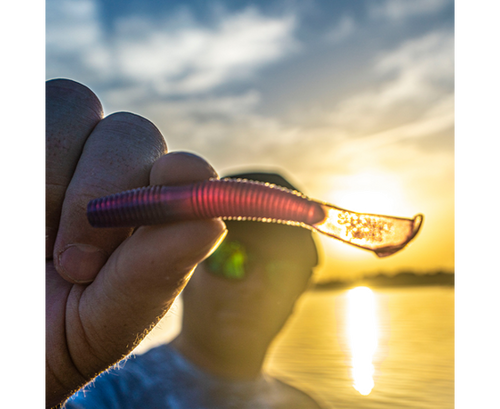 STRIKE KING RAGE NED CUT-R WORM