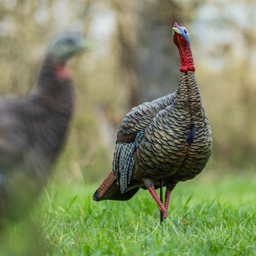 AVIAN X HDR JAKE TURKEY DECOY AVIAN X HDR JAKE TURKEY DECOY