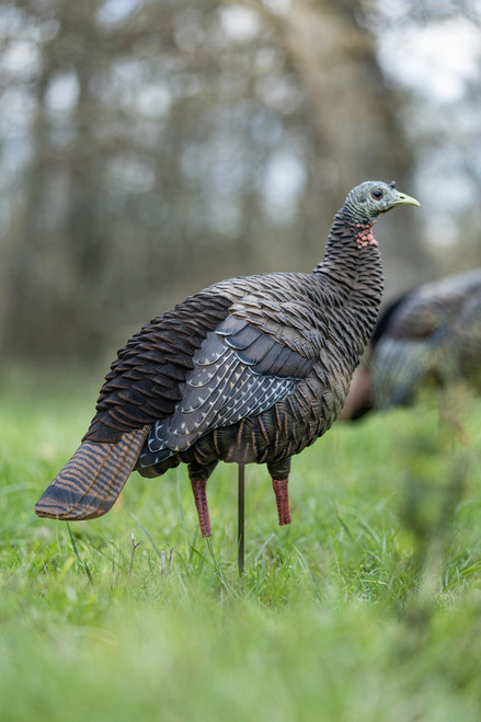AVIAN X HDR HEN TURKEY DECOY AVIAN X HDR HEN TURKEY DECOY