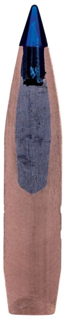 FEDERAL PREMIUM TERMINAL ASCENT  .300 WINCHESTER MAGNUM 200GR