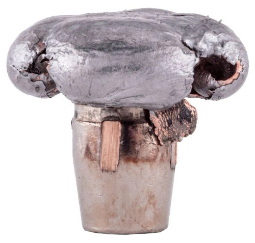 FEDERAL PREMIUM TERINAL ASCENT .270 WIN 136GR