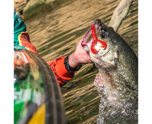 STRIKE KING RAGE CRAW