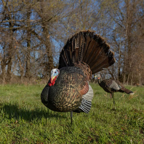AVIAN-X LCD STRUTTER TURKEY DECOY AVIAN-X LCD STRUTTER TURKEY DECOY