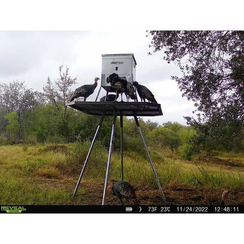 ASF TURKEY FEEDER PLATFORM (FEEDER NOT INCLUDED) ASF TURKEY FEEDER PLATFORM (FEEDER NOT INCLUDED)