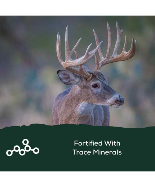RECORD RACK BIG ANTLER MINERAL BAM BLOCK 30LB RECORD RACK BIG ANTLER MINERAL BAM BLOCK 30LB