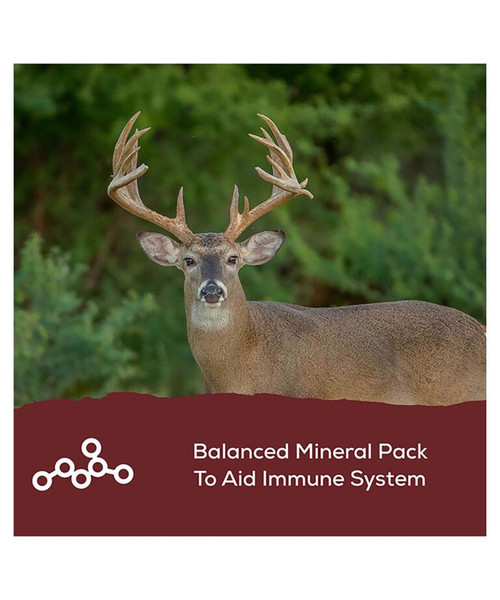 RECORD RACK SPINCAST BAGGED FEED 50LB RECORD RACK SPINCAST BAGGED FEED 50LB