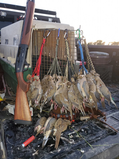 THE ORIGINAL DOVE CORD