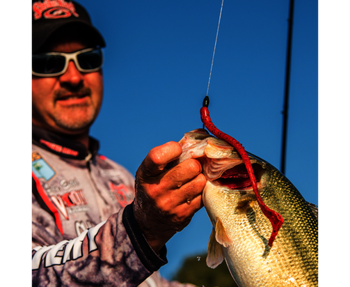 STRIKE KING RAGE THUMPER WORM