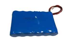 ALL SEASONS FEEDERS BOAR LIGHT REPLACEMENT BATTERY