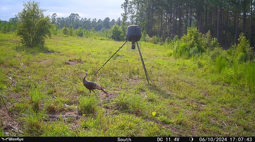 WISE EYE MINI CAM 2 GAME CAMERA