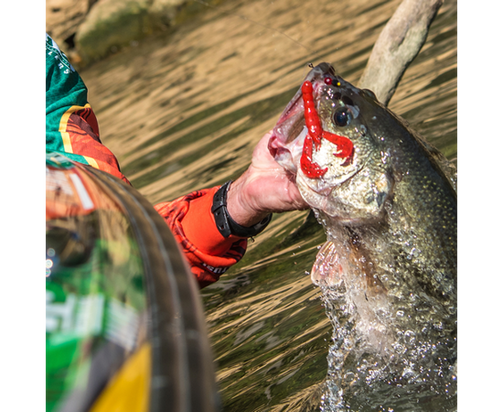 STRIKE KING RAGE CRAW