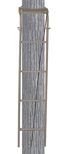 TROPHY TREESTANDS HANGTIME LADDER