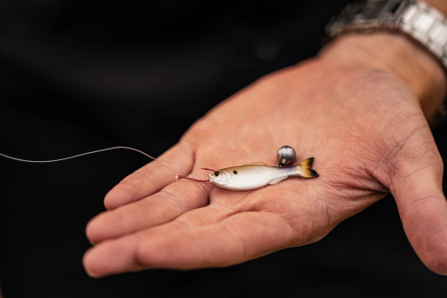6TH SENSE FISHING DIVINE DROP SHOT WEIGHTS LEAD