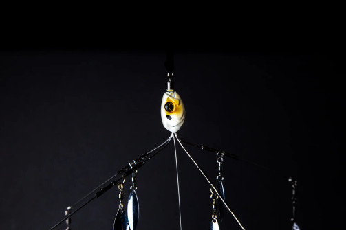 6TH SENSE FISHING DIVINE UMBRELLA RIG