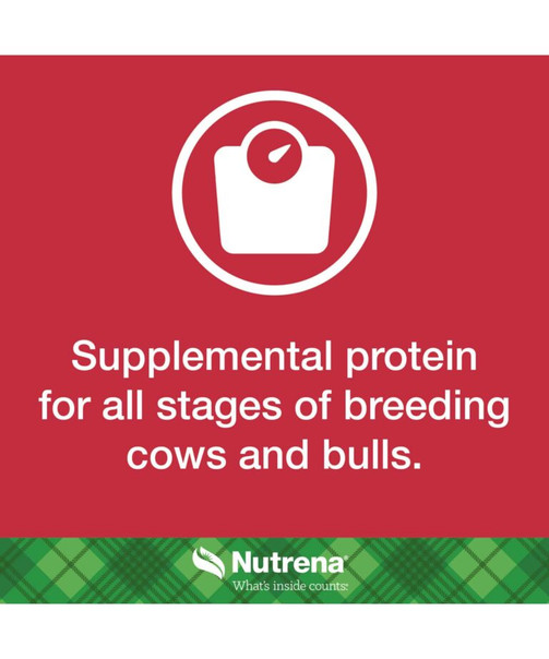 NUTRENA NUTREBEEF CATTLE BREEDER BAGGED CUBES 50LBS